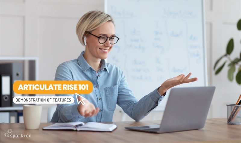 Articulate Rise 101 Demo course